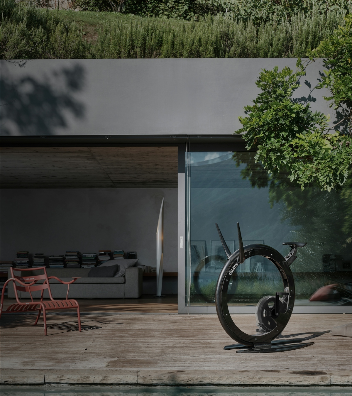 Ciclotte Carbon / Steel