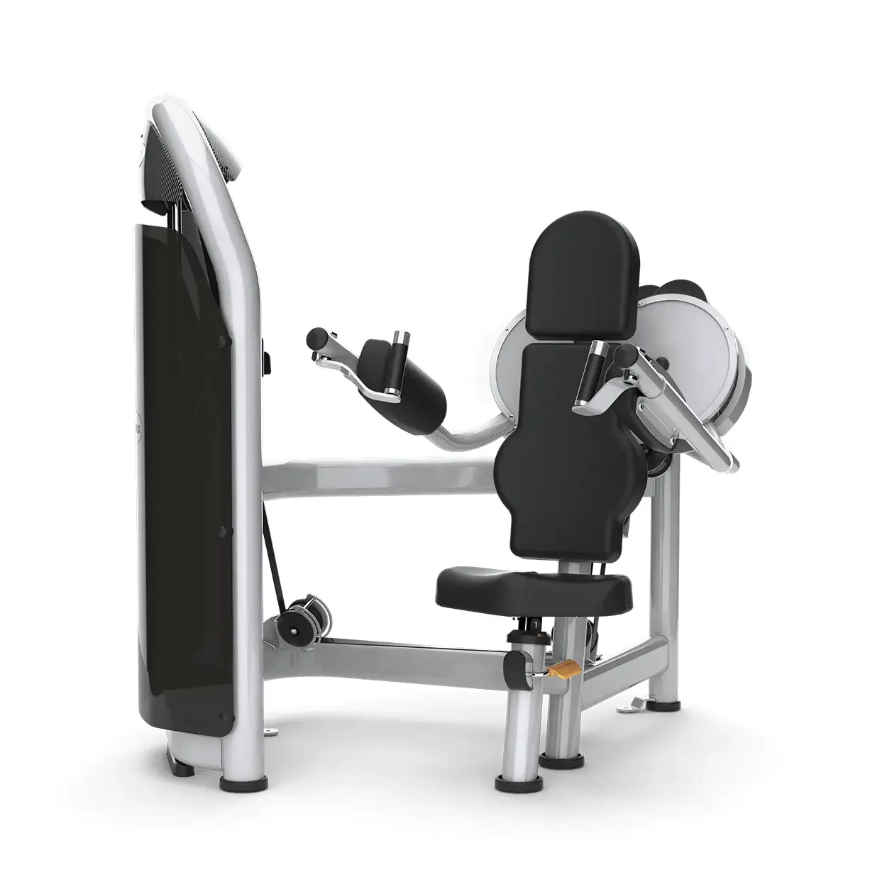 Weight lifting device for the sides from the AURA series of MATRIX | Model G3-S21