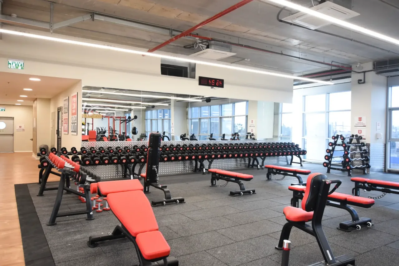 projects and the establishment of fitness complexes — picture 25