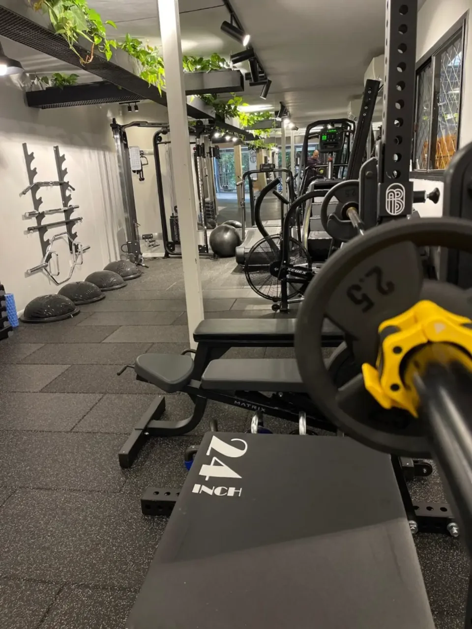 projects and the establishment of fitness complexes — picture 16