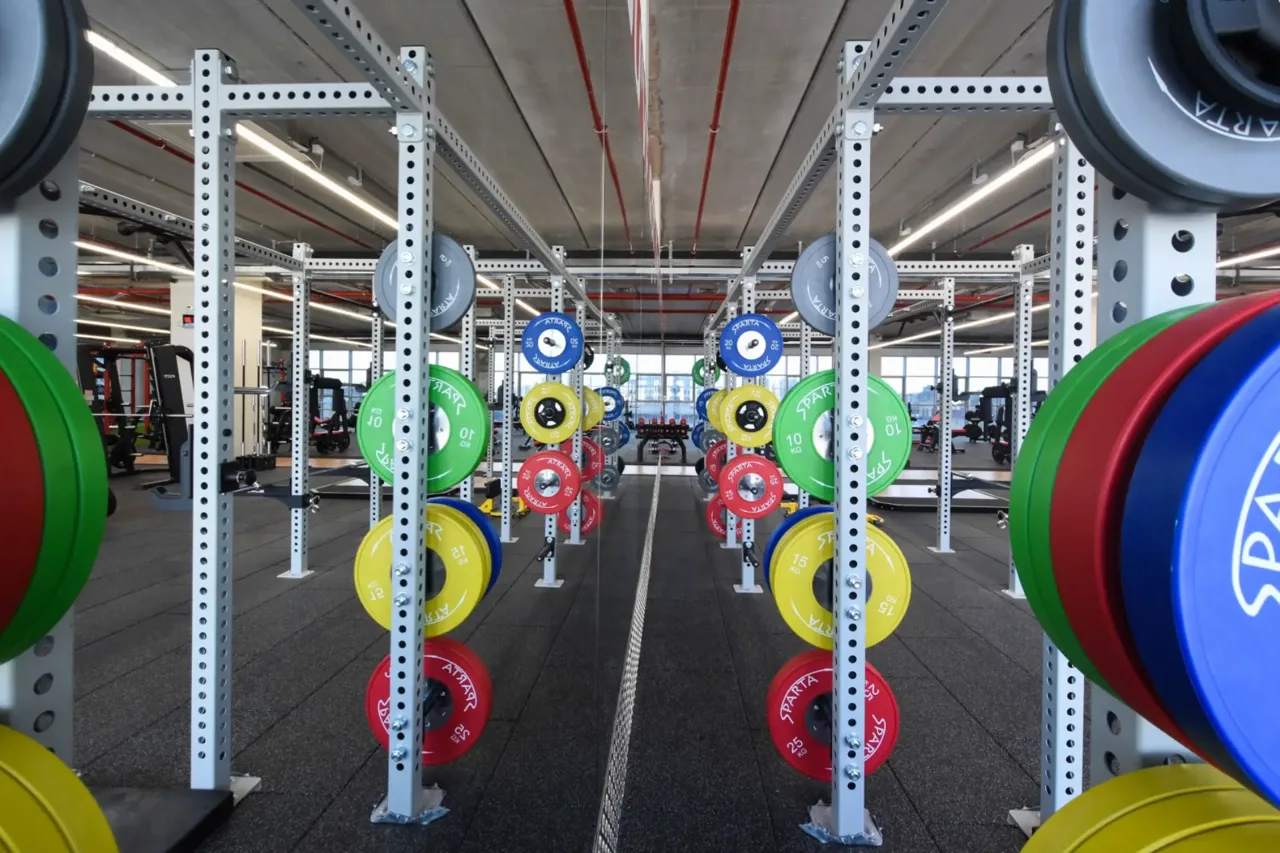 projects and the establishment of fitness complexes — picture 24
