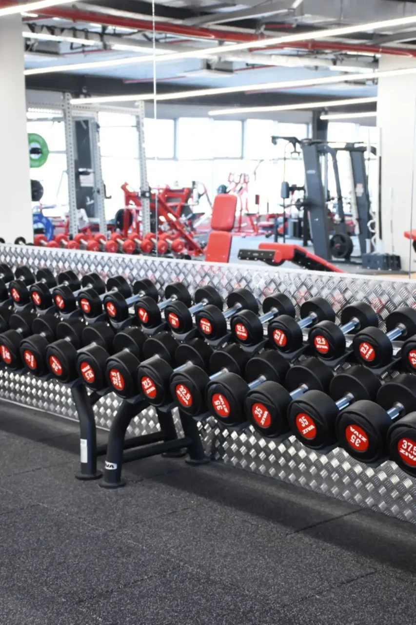 projects and the establishment of fitness complexes — picture 26