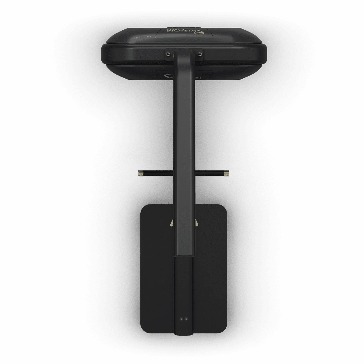Standing Biceps / Triceps front/back hand while standing — picture 3