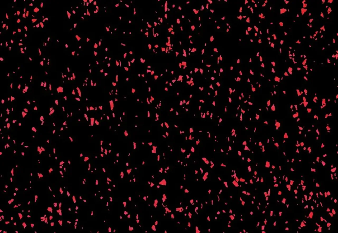 Red dots rubber cylinder made in Germany 8 mm 10000/1500/8