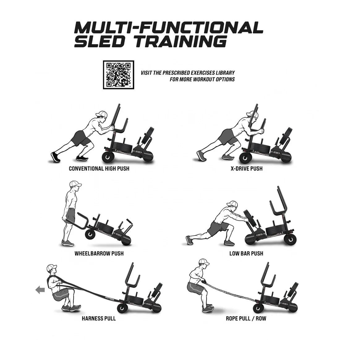 xebex XT4 PLUS SLED | דגם SLD-XT4 — תמונה 8