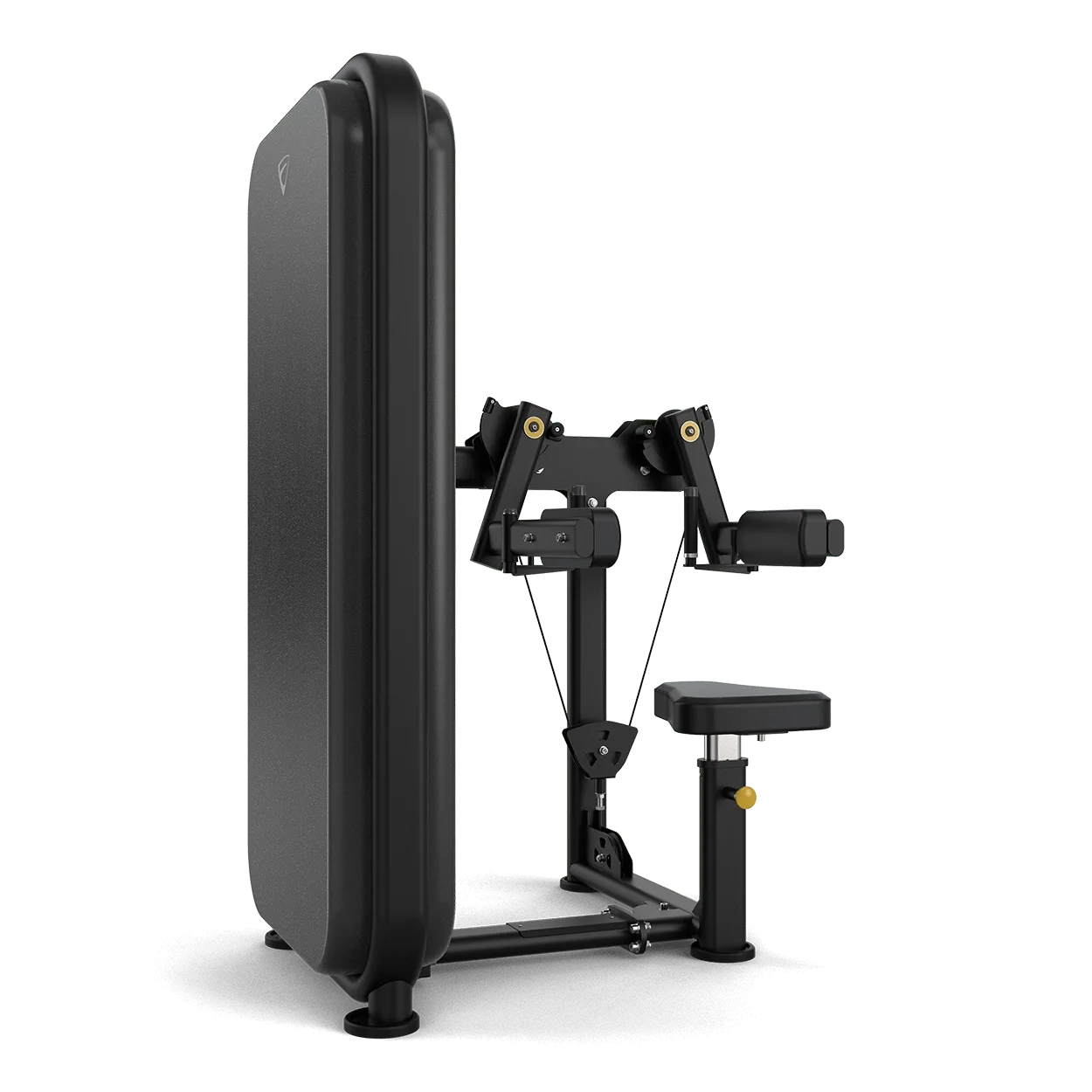 Lateral Raise device model VST600-S21 of the VISION company — picture 2