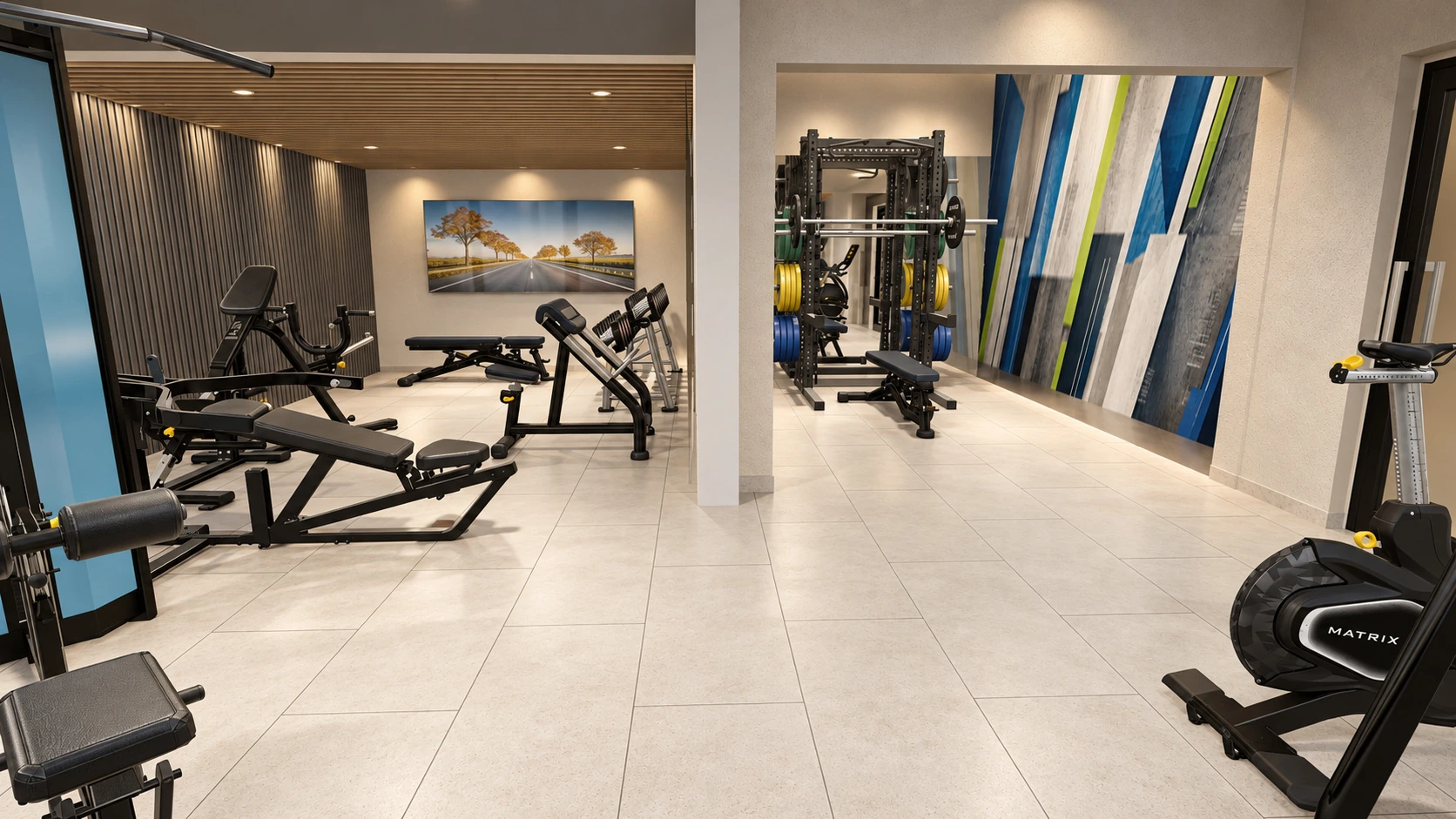 Tidhar residential gym proposal — Strength and the squat area