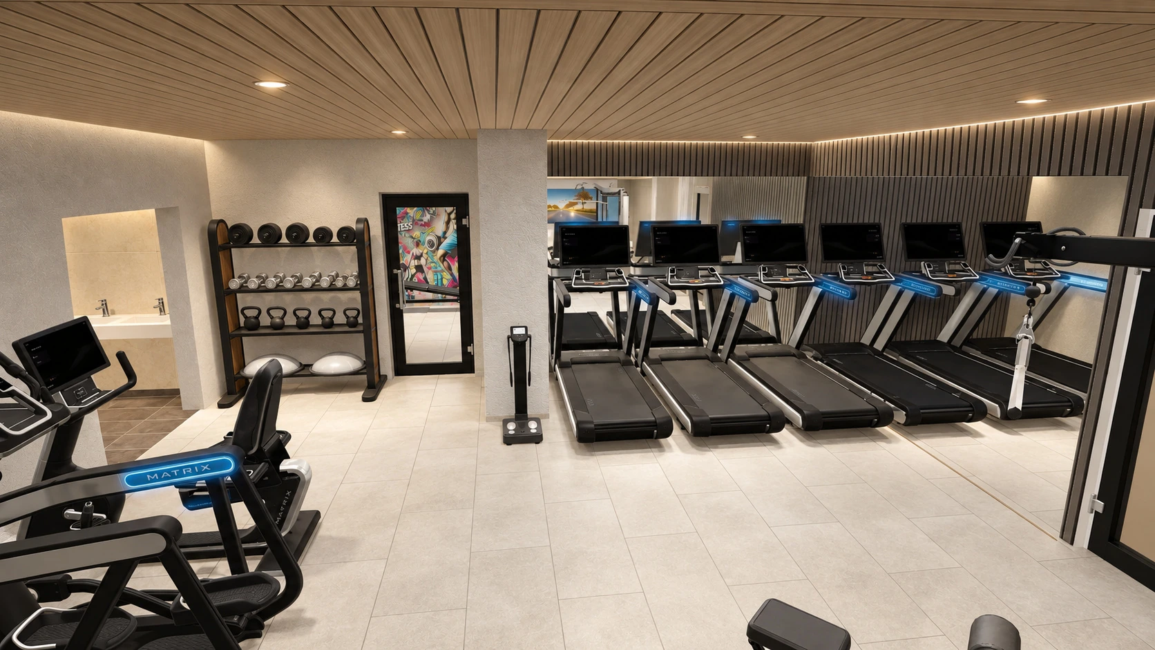 Tidhar residential gym proposal — Cardio and mirrors