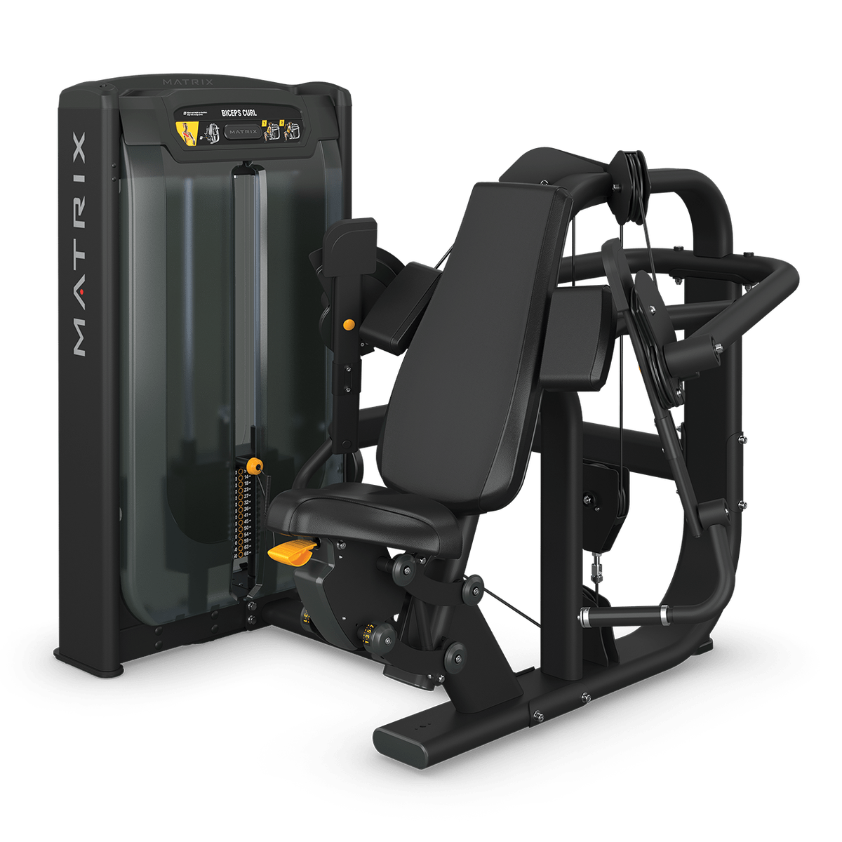 כפיפת מרפקים בזרועות עצמאיות Base Heavy