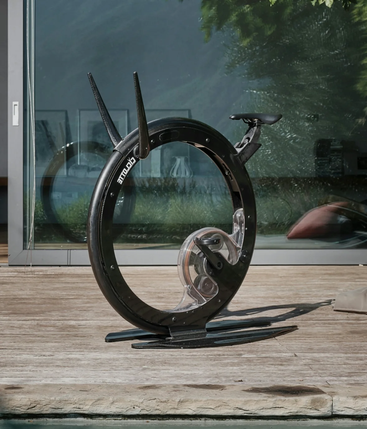 Ciclotte Carbon / Steel