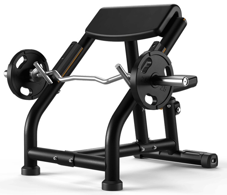 Preacher Curl Bench MG-A62