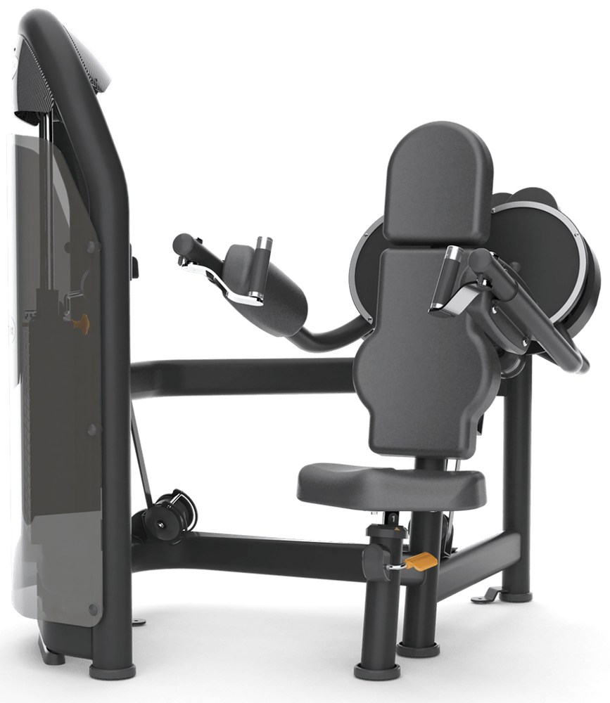 Lateral Raise G3-S21