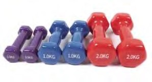 Colored vinyl coated dumbbells EURO2144