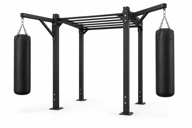 A fighting rig with punching bags and a monkey ladder SP.FighteRIG