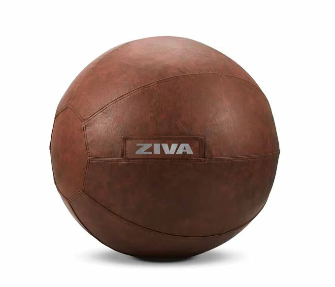 ZVO pit bull cover
