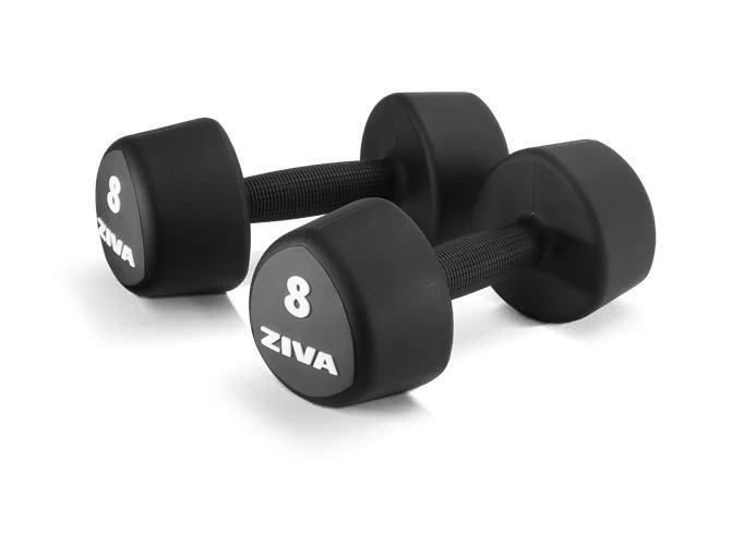 Tribell studio barbell from Jordan ZVO ZVO-PUTF-3070