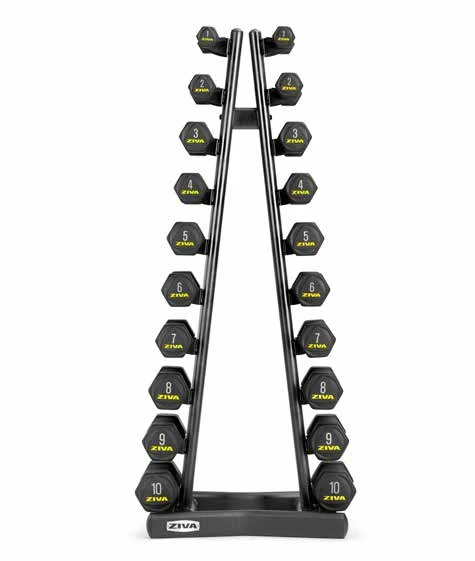 SL dumbbell stand ZSL-VS10-5136