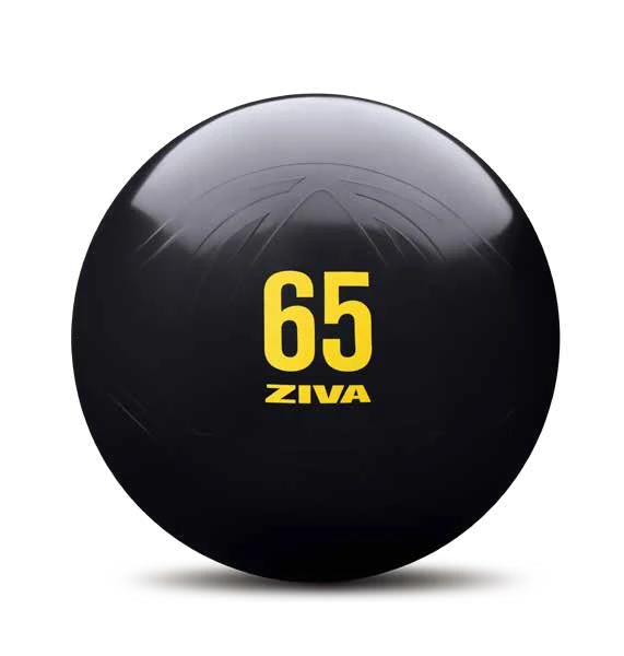 ZVO pit bull ball