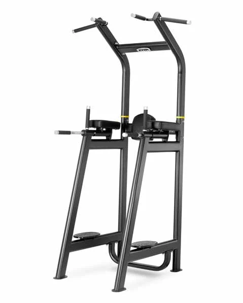 ZIVA tension station, parallel bars and knee lifts