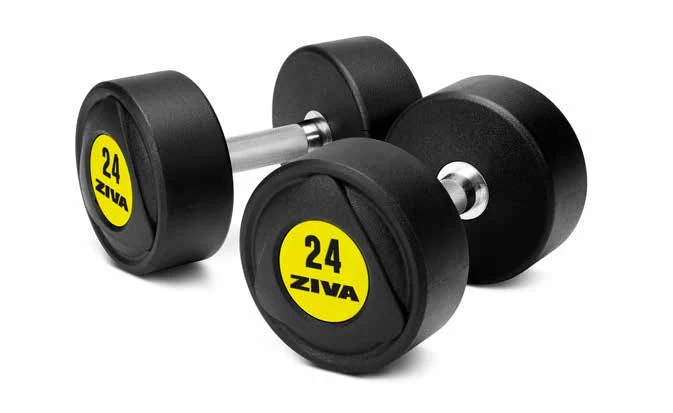 Mauritan SL dumbbells · stairs 2.5 kg ZSL-PUDB-7354
