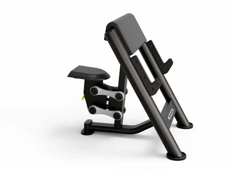 Scott Curl EX 2.0 bench ZEX-XSCT-6758