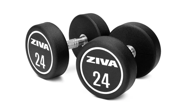 Mauritan XP dumbbells · stairs 2.5 kg ZXP-DBPU-7754