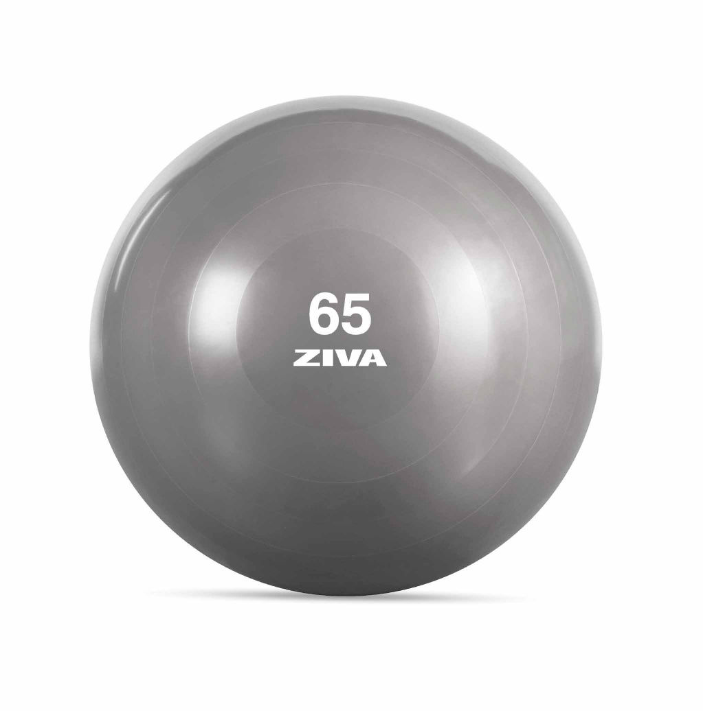 Physio ball 65 cm