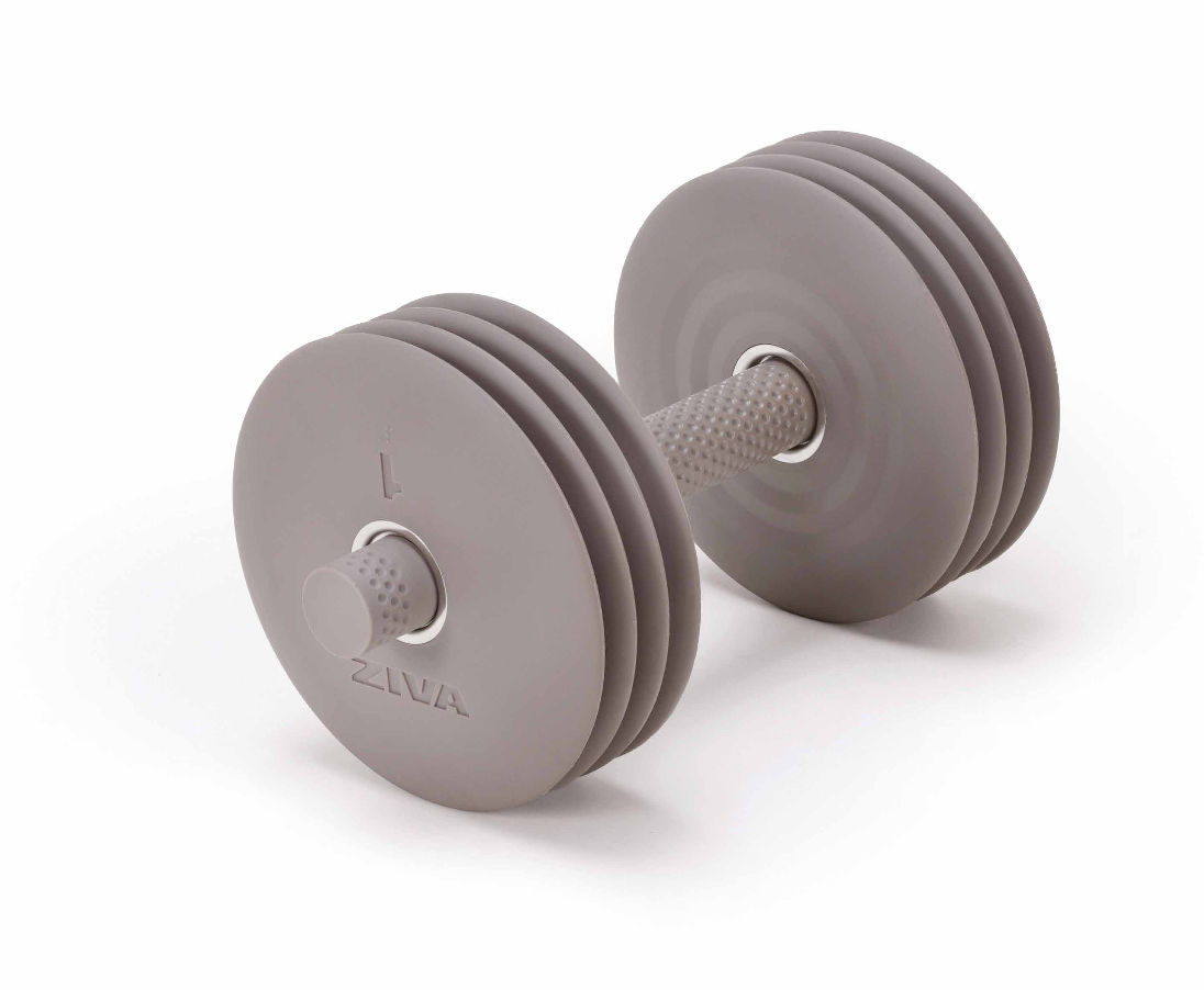 Adjustable dumbbell set ZWO-DCPU-2466