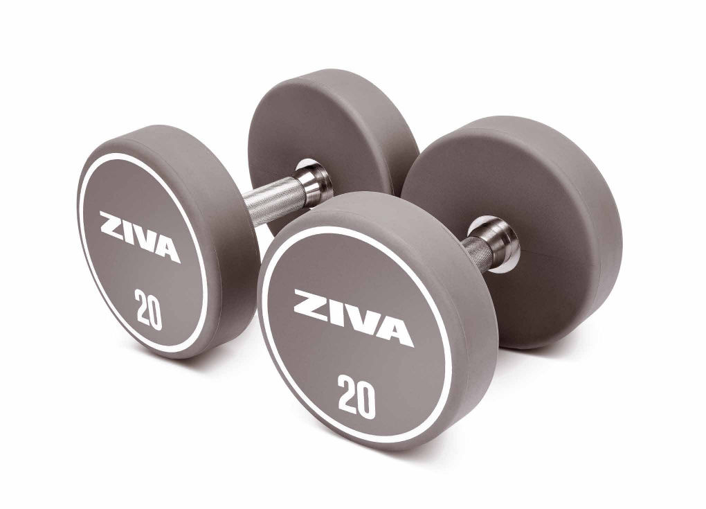 Free Weights, Bars & Benches