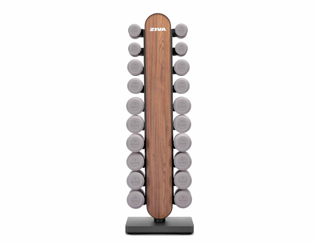 Vertical dumbbell stand