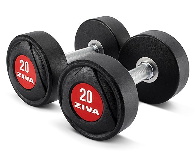 Dumbbell SL red ZSL-PUDB-7355-RED