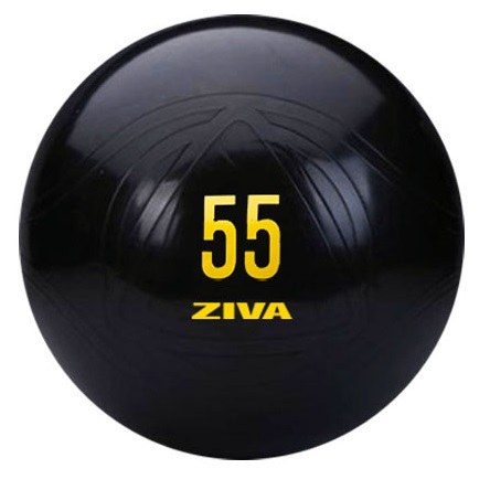 Physio Performance ball ZFT-ABCB-9291