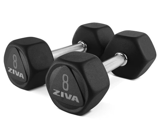 Dumbbells Performance gray ZFT-DBUX-5140-BG